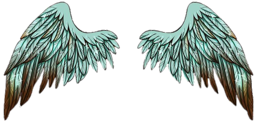 wings-png-image-from-pngfre-21
