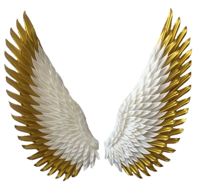 High resolution Wings Png