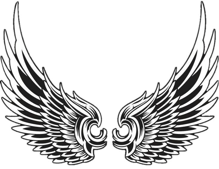 Wings Png vector image