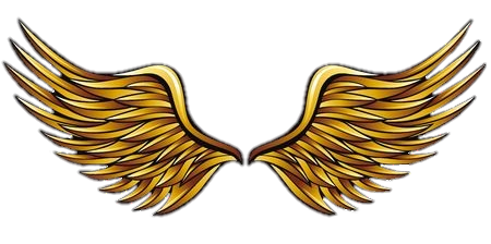 wings-png-image-from-pngfre-24