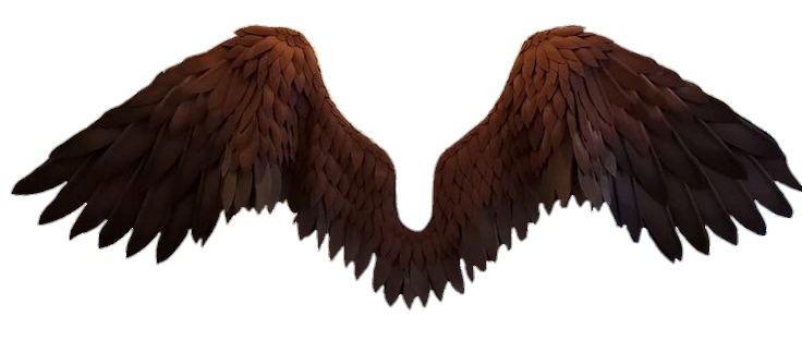 wings-png-image-from-pngfre-26