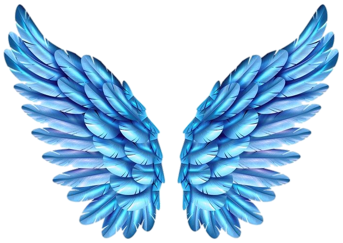 Blue Wings Png