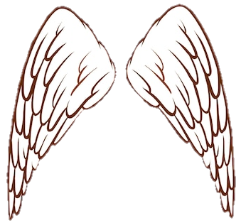 Wings Png Outline