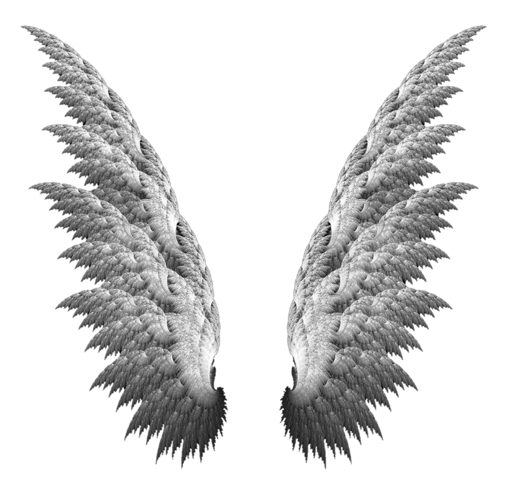 Wings PNG Transparent Images Free Download - Pngfre