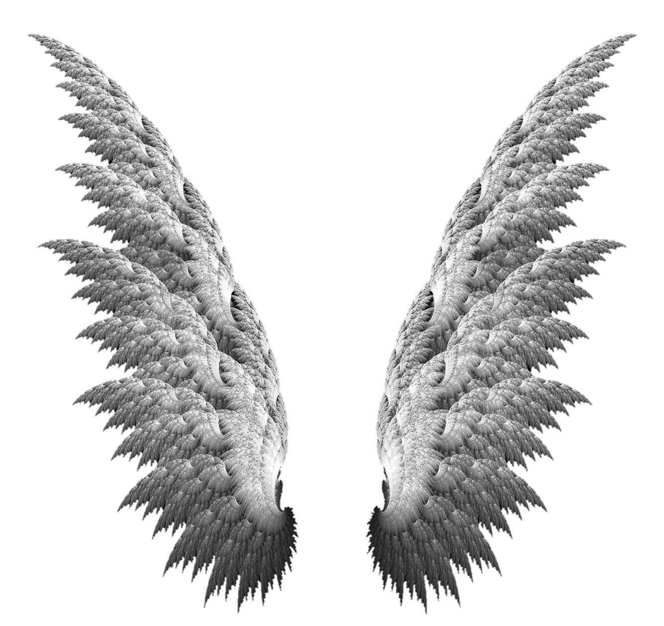 wings-png-image-from-pngfre-3