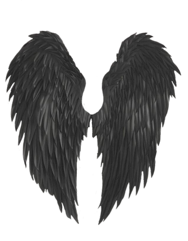 wings-png-image-from-pngfre-30