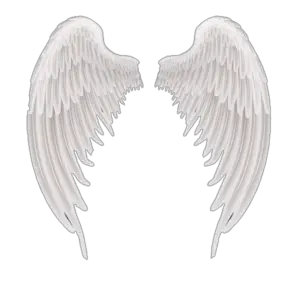 Wings PNG Transparent Images Free Download - Pngfre