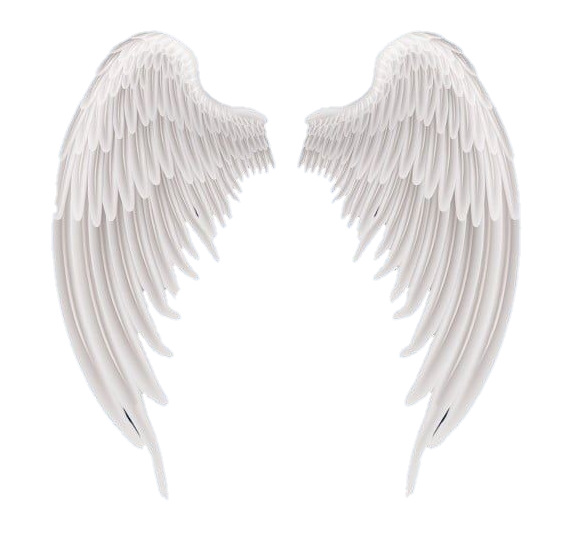 White Wings Png