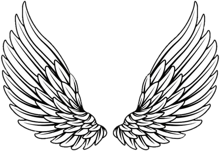 wings-png-image-from-pngfre-4