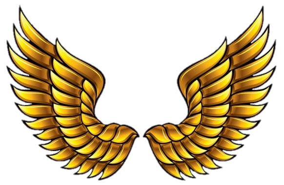 Golden Wings Png