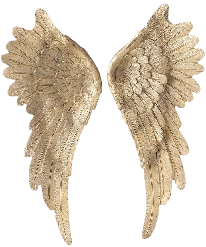 wings-png-image-from-pngfre-6