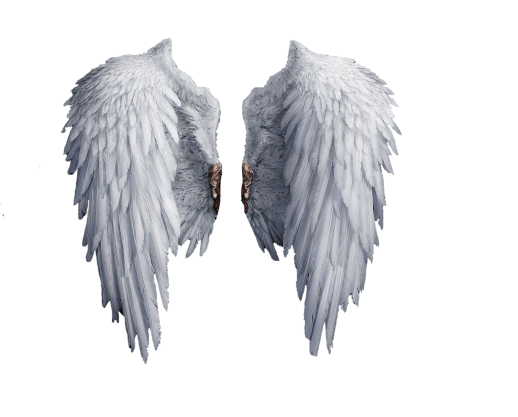 Angle Wings Png