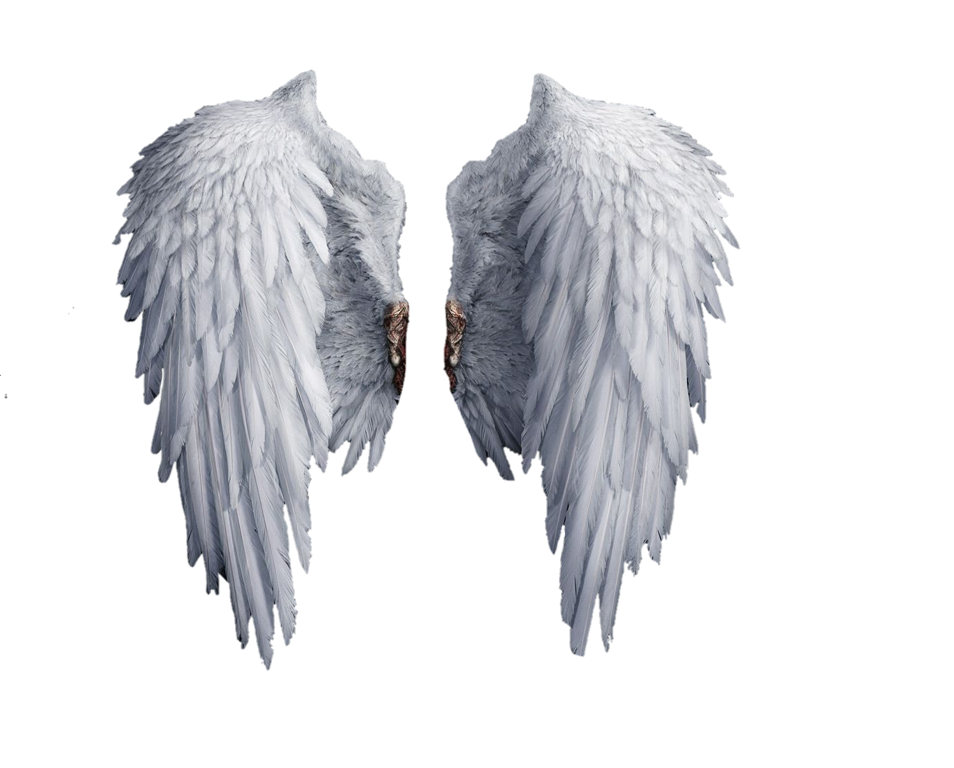wings-png-image-from-pngfre-7