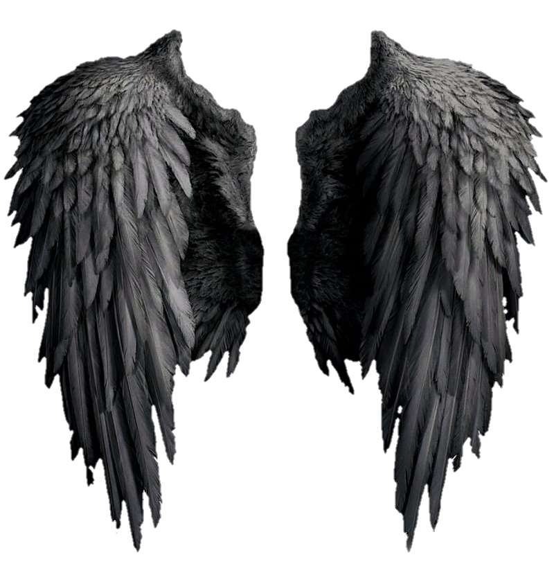 wings-png-image-from-pngfre-8