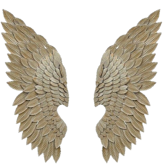 Golden Wings Png vector