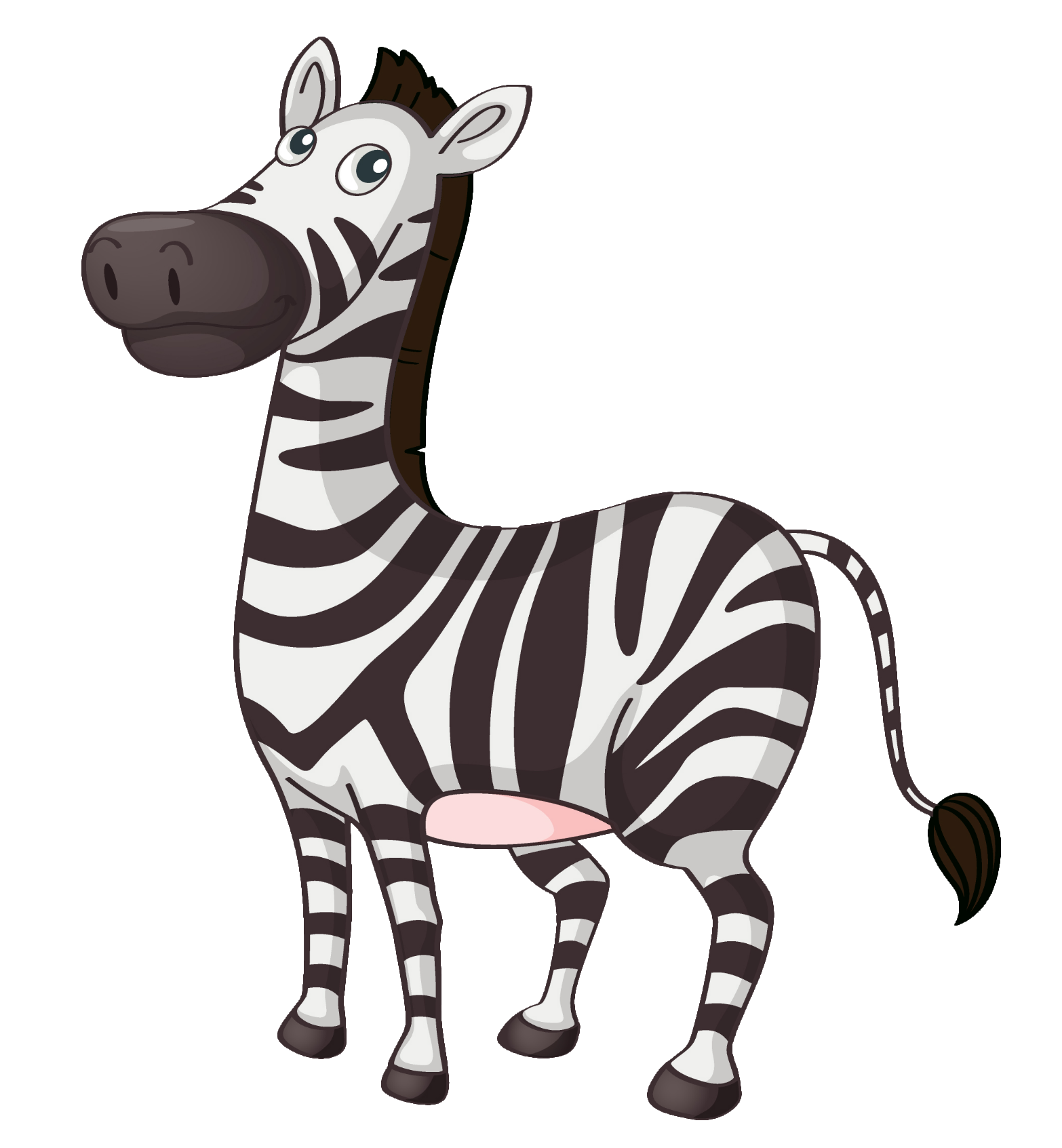 zebra-32