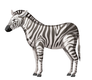 Zebra Clipart PNG