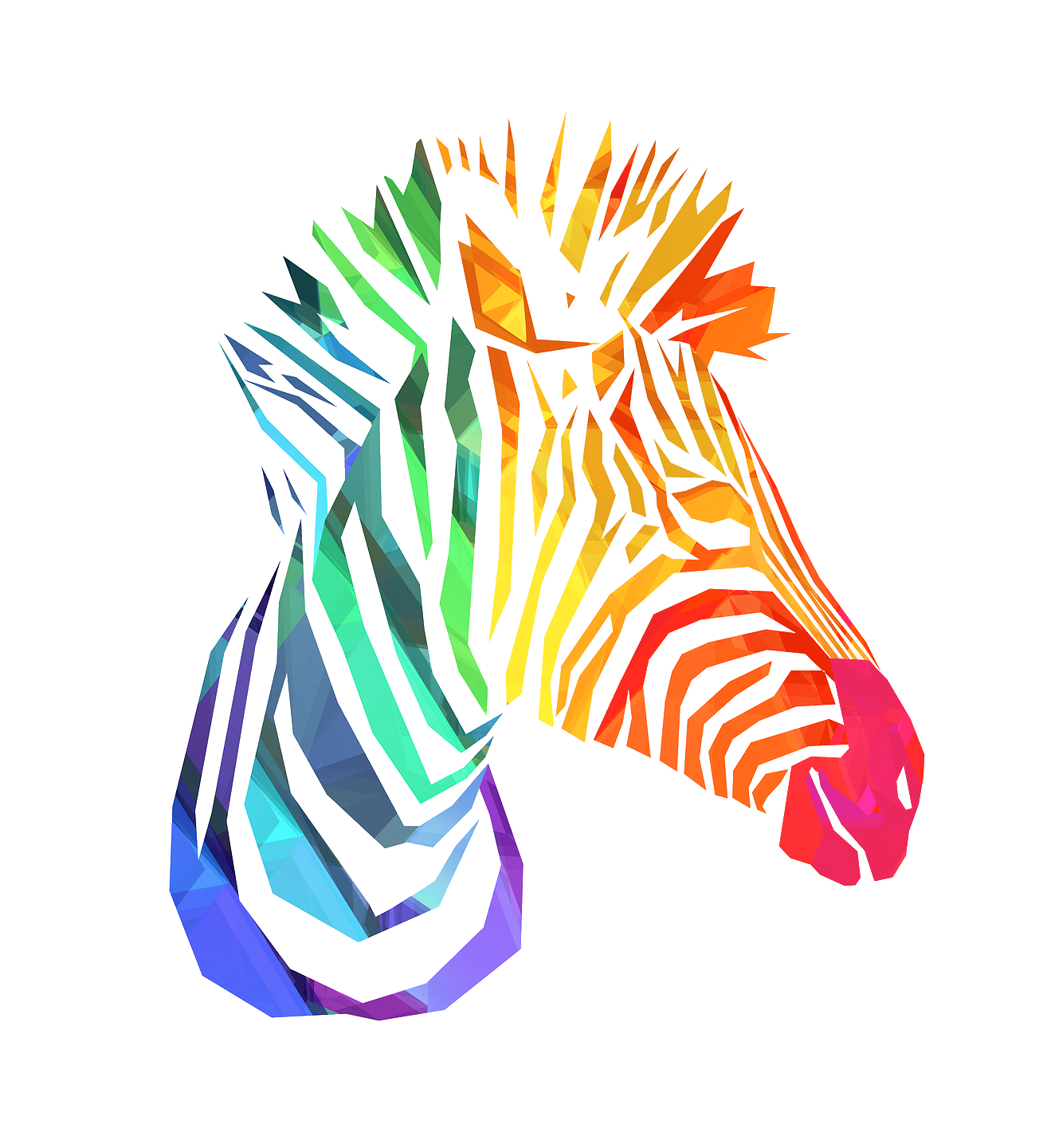 zebra-37