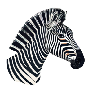 Zebra Head Drawing PNG