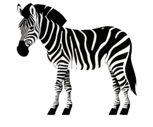 Zebra Vector Art PNG