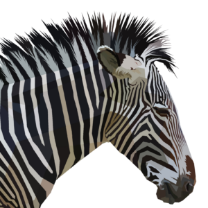 Zebra Head Vector Art PNG